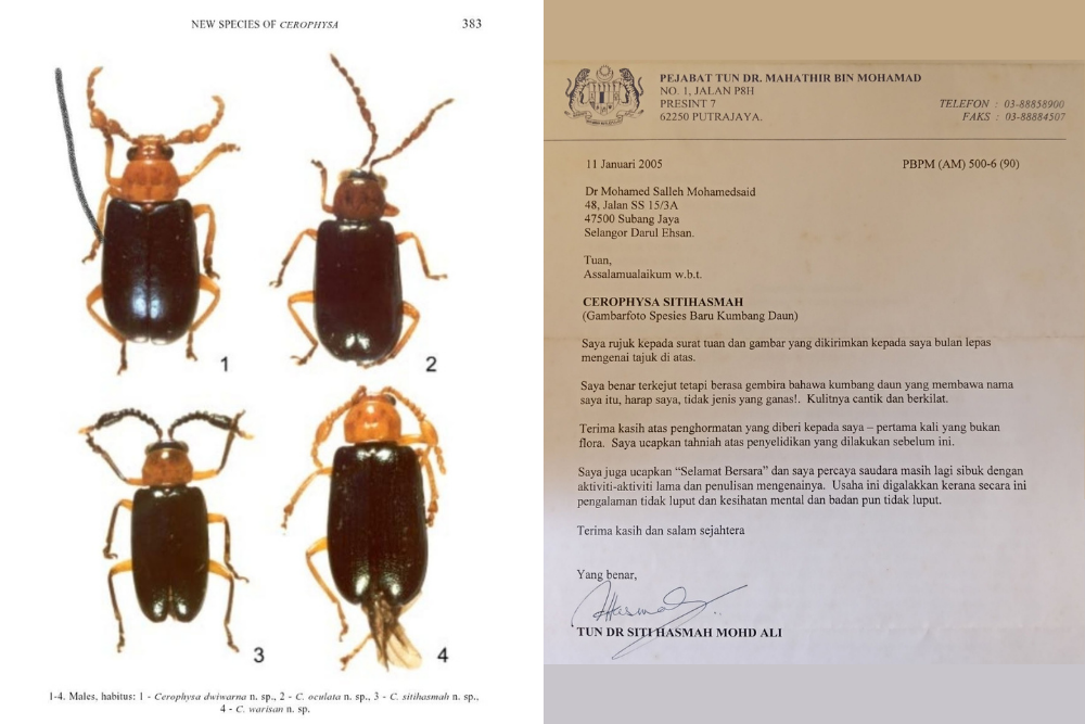 Photo of the beetle species named in honour of Dr Siti Hasmah (left), as well as the letter of acknowledgement from her (right).