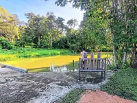 Love, life and a homestay