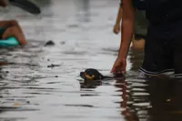 Mexico's Sheinbaum urges coastal residents to remain indoors as Hurricane Simon nears coast