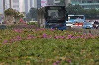 From buses to boats and helicopters? Jakarta dreams of taking public transport sky-high
