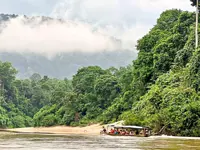 Adventures in Endau-Rompin, and other biodiverse rainforests in Malaysia