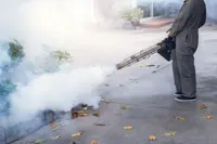 Johor records 12,280 dengue cases, up 156% from last year