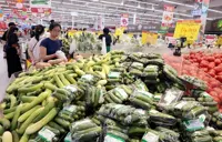 Vietnam sets two inflation scenarios for 2026
