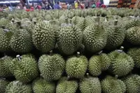China-Laos Railway's foreign trade value tops 100 billion yuan; durians among top trading earners