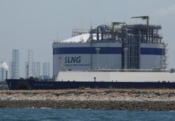 Emerging Asia's power-driven LNG demand at risk as renewables gain ground
