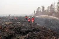 Smoke, swamps and snakes hamper Indonesia’s battle against forest fires, say officials