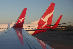 Qantas plane grounded after passengers on long-haul flight report bedbug bites