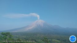 Indonesia's Mount Semeru erupts at least 10 times, spews ash up to 900 metres
