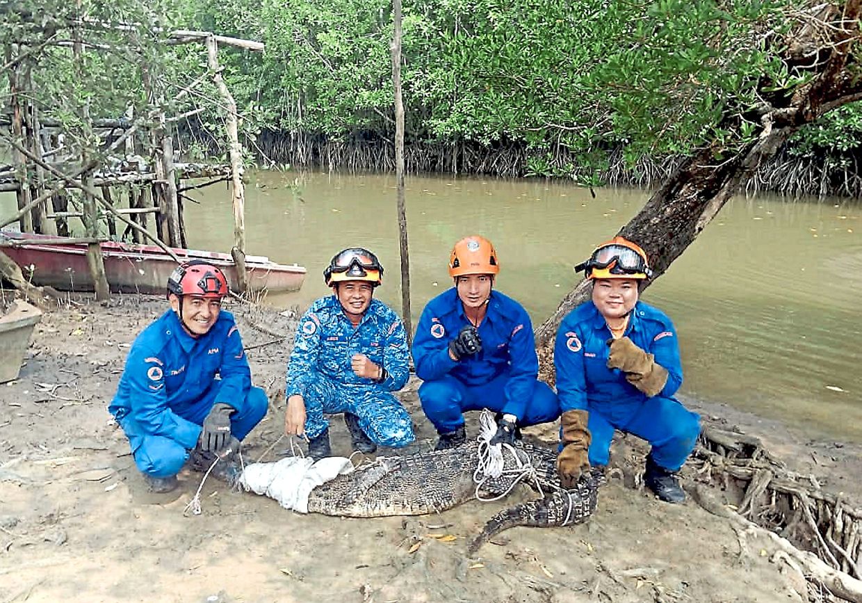 Dorfbewohner erleben in Kota Marudu eine unerwartete Überraschung