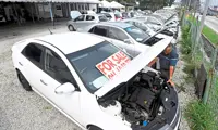 Weighing value against risk in used cars