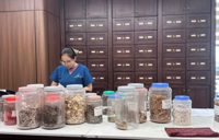 Vietnam targets modern, internationally integrated traditional medicine by 2030