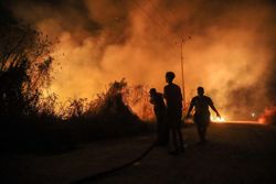 Regional fallout grows as Indonesia rejects disaster status