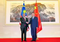 Zahid eyes China technology to fight crime 
