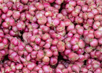 Philippines hits onion cartel with record fine for price surge