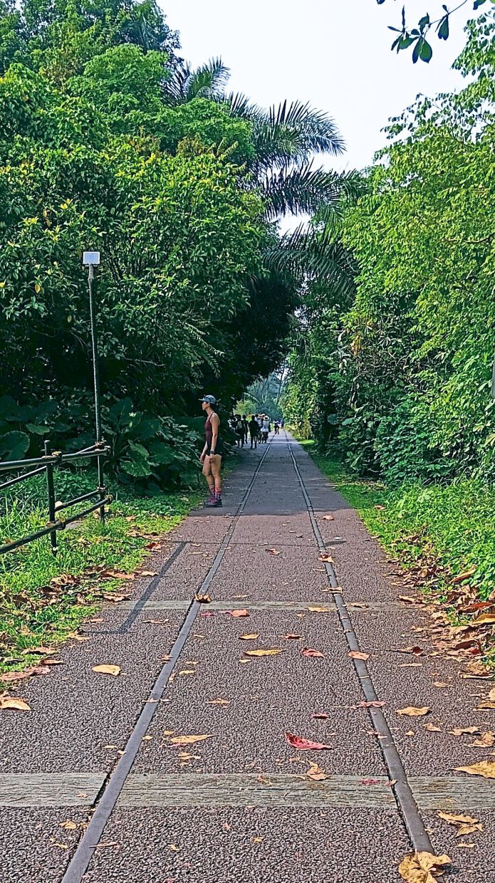 Part of the Rail Corridor, with traces of the rails embedded into a path, now made suitable for walking, running and cycling.
