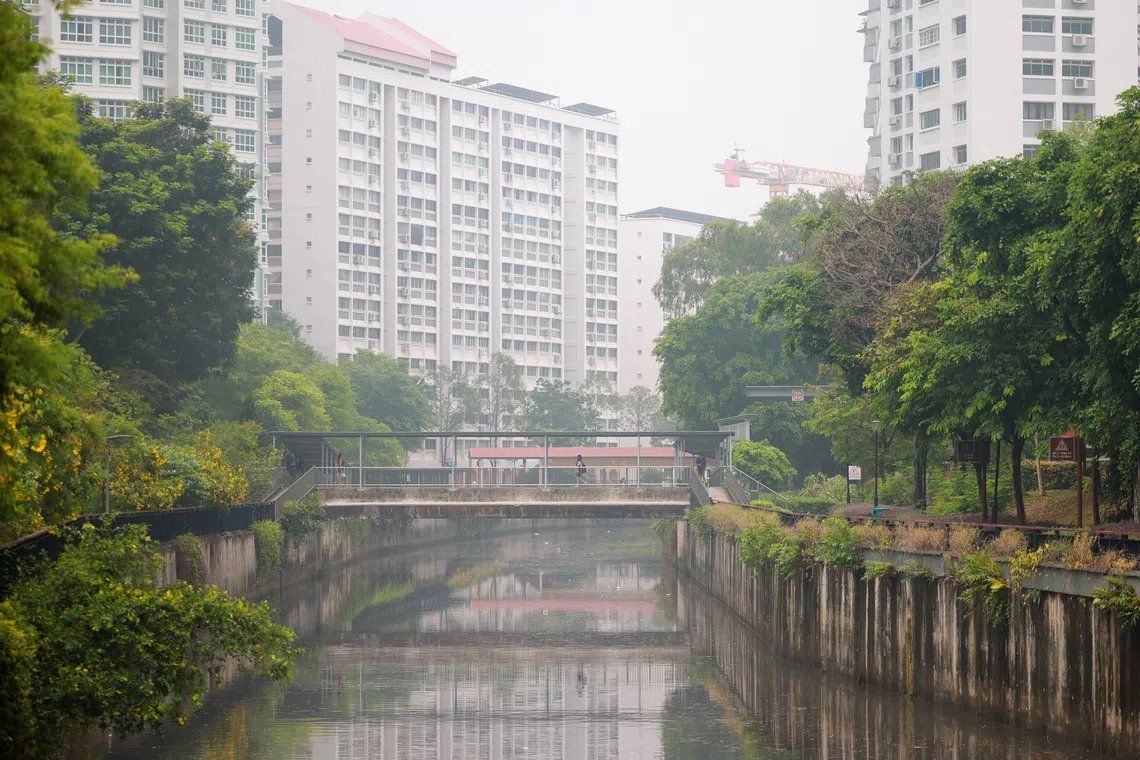 Singapore looking into which companies responsible for haze-causing fires: ...