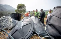 Farmers want swift action against rogue elephants