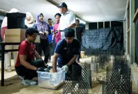 44 leatherback turtle eggs laid in Marang found unfertilised