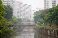 Singapore looking into which companies responsible for haze-causing fires: PM Wong