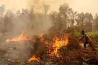 Four killed in Indonesia battling fires causing toxic haze