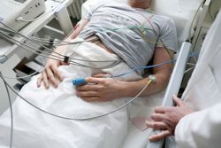 Not all fatty foods are unhealthy, some can help fight cancer