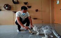 Evolution of China’s expanding pet food sector