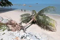 Beaches on borrowed time