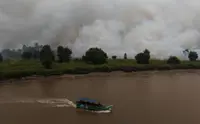 Firefighters and villagers join forces to protect Sumatran elephants as wildfires spread