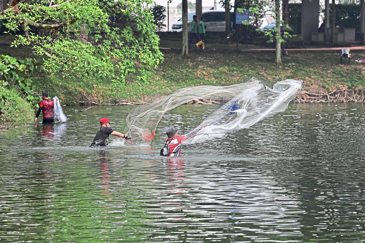 ‘Do not release ornamental fish’