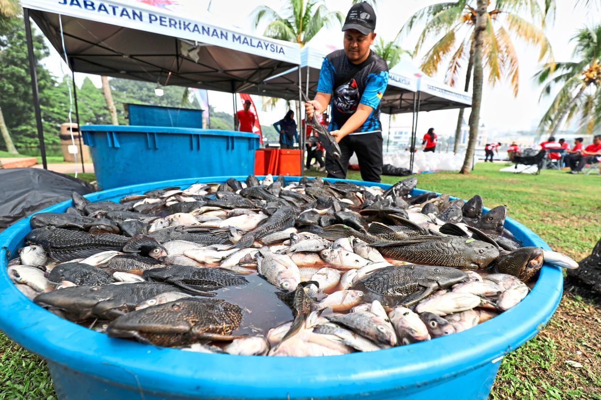 Catch of the day: Some of the fish caught during the programme.