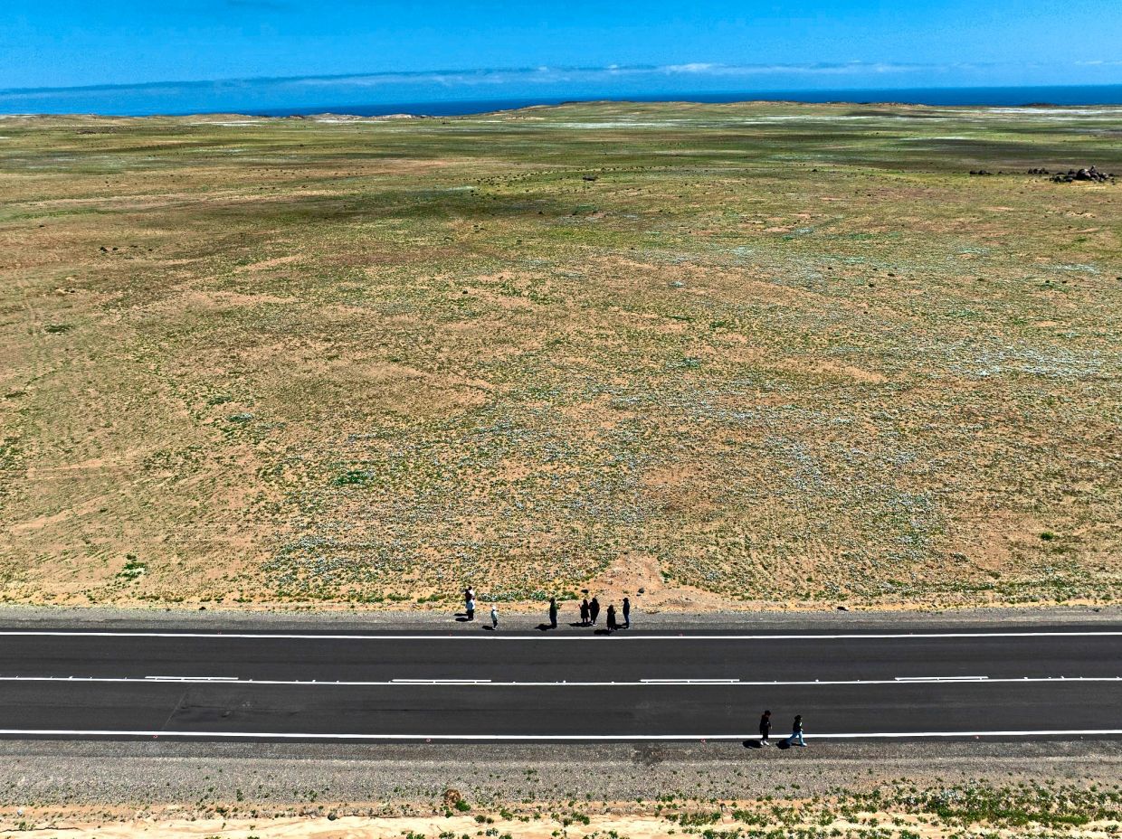 Tourists look out at flower blooms in the Atacama Desert near Copiapo, Chile.
