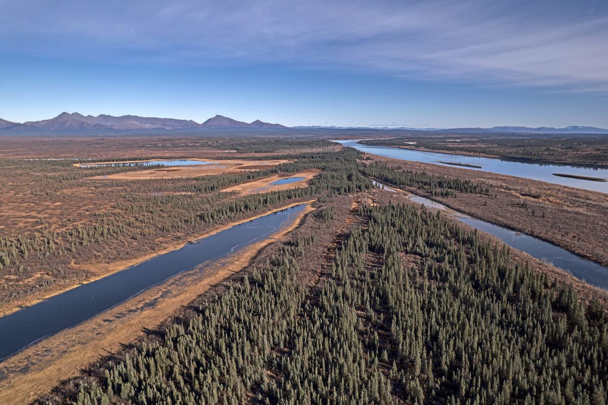 Onion Portage, a critical migration route for the Western Arctic Caribou Herd along the Kobuk River near Ambler, seen in Alaska.