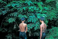 A photography exhibition reveals a side of KL where urban life and nature meet 