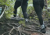 Perak closes forest reserve hiking trails, recreational activities during monsoon
