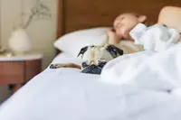 How can I move my dog out of bed without hurting our bond?