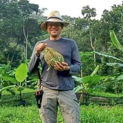 As durian rivals grow, Malaysia banks on quality