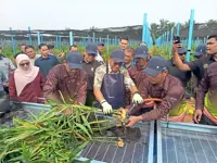Veterans find fertile ground in ginger