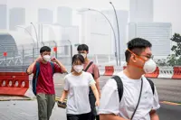 Palm oil stocks tumble as S’pore probes haze links