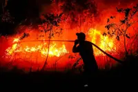 'Utter destruction ': Indonesia fires have burned nearly two million hectares: monitor