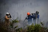 Indonesia probes 98 cases involving firms linked to fires; discusses assistance with Singapore