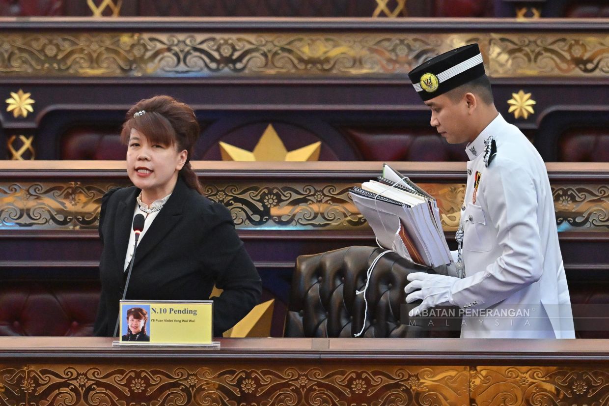 DAP rep ejected from S'wak assembly after refusing to retract 'insult'
