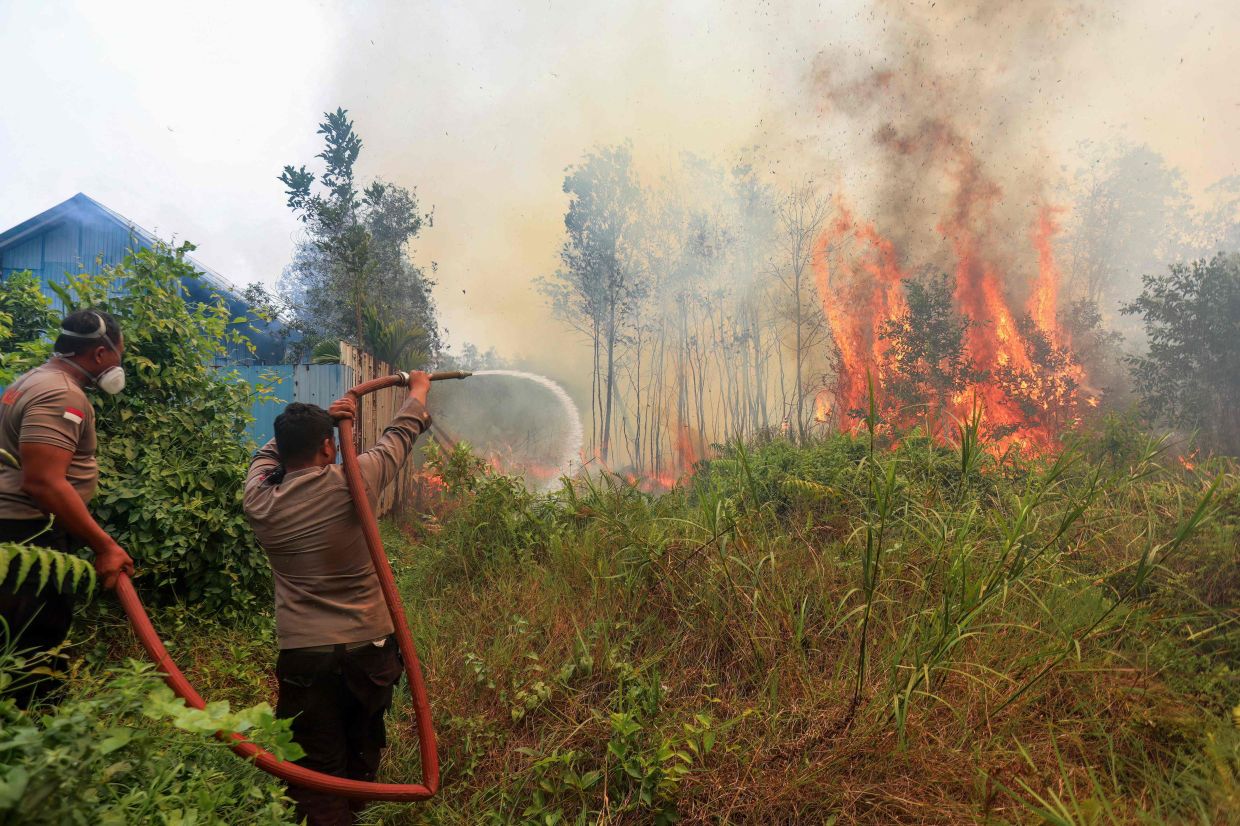 Police officers spray water to extinguish a wildfire burning close to a residential structure in Tegal Arum, Banjarbaru, South Kalimantan, on October 20, 2026. Indonesian wildfires that have caused a regional haze crisis burned more than 1.9 million hectares in the first nine months of 2026, a monitor analysing satellite data said on October 19. - Photo: AFP