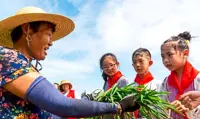 Growing Malaysia’s food future in the classroom
