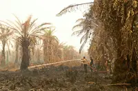 Drought leaves farmers high and dry