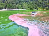 Red tide persists in three of Brunei's four districts