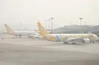 Indonesia haze disrupts over 2,600 flights since August