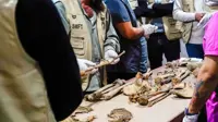 Syria’s first DNA-based identifications offer hope for families of the missing