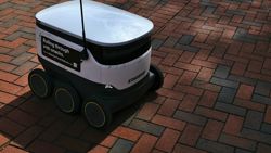 A woman was arrested for blocking a delivery robot. Her reason for doing it taps into a deep fear
