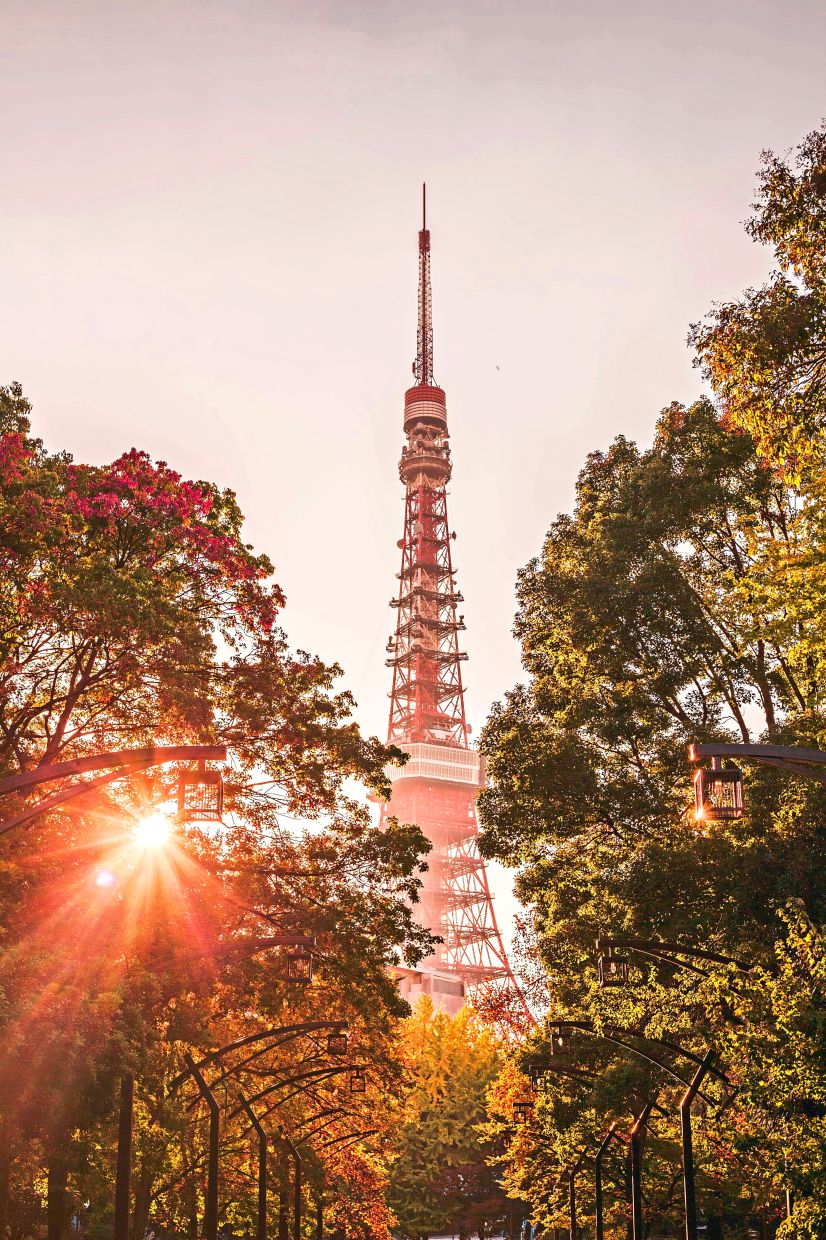 Tokyo is famed for its cherry blossoms and fall foliage. — Unsplash