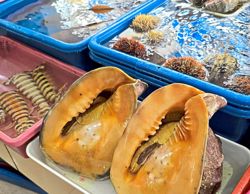 Want to see people 'fight' over seafood? Head to the Semporna fish market